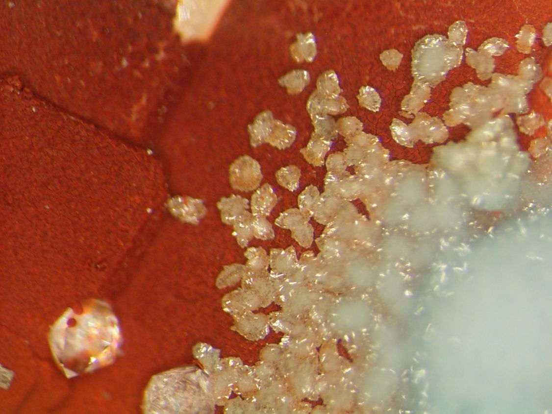 Scorodite & Bariopharmacosiderite