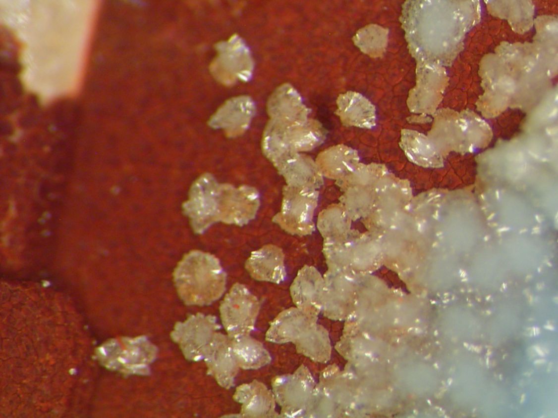 Scorodite & Bariopharmacosiderite