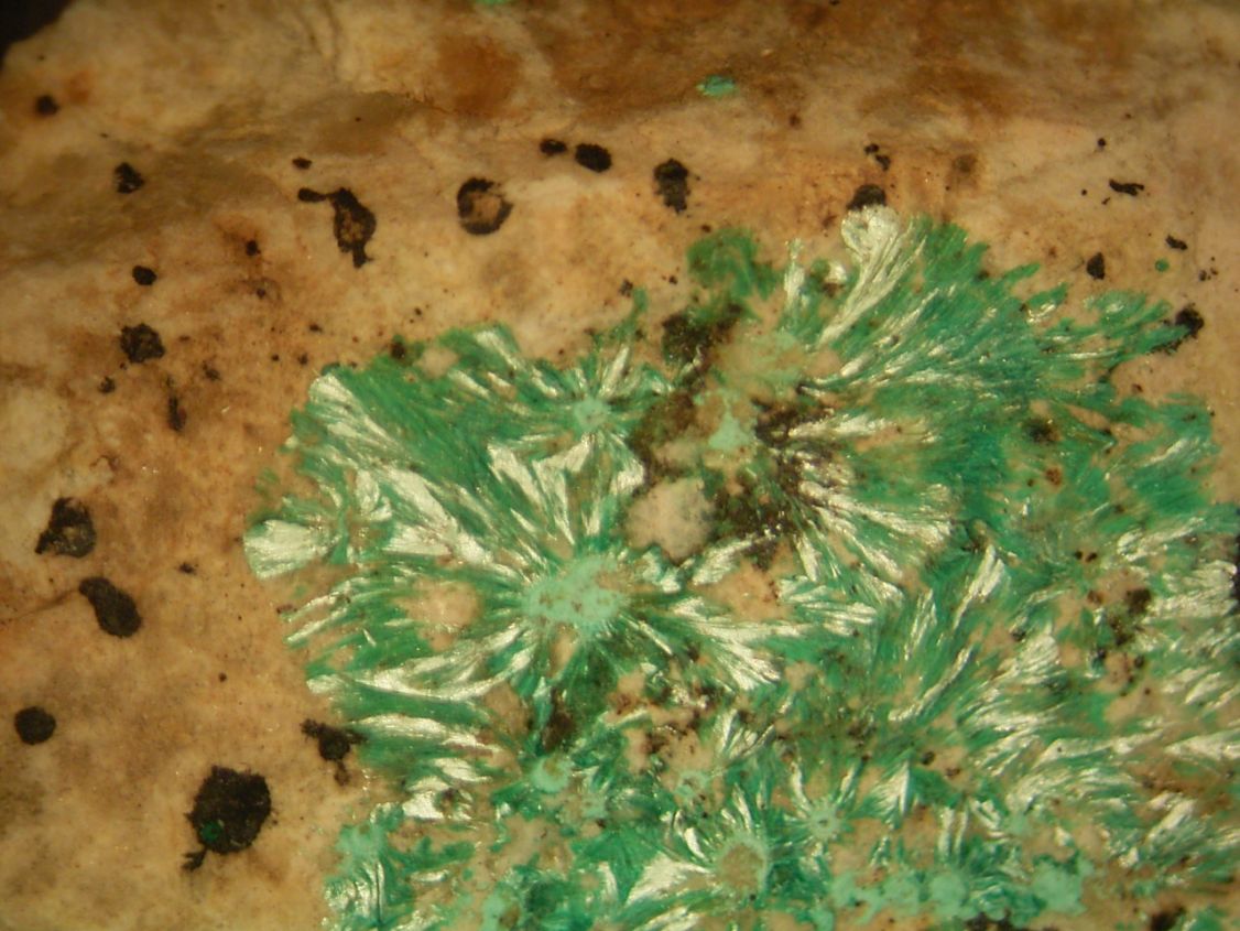 Theisite Psm Tyrolite