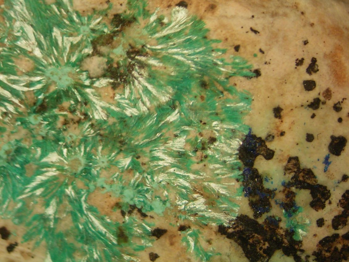 Theisite Psm Tyrolite