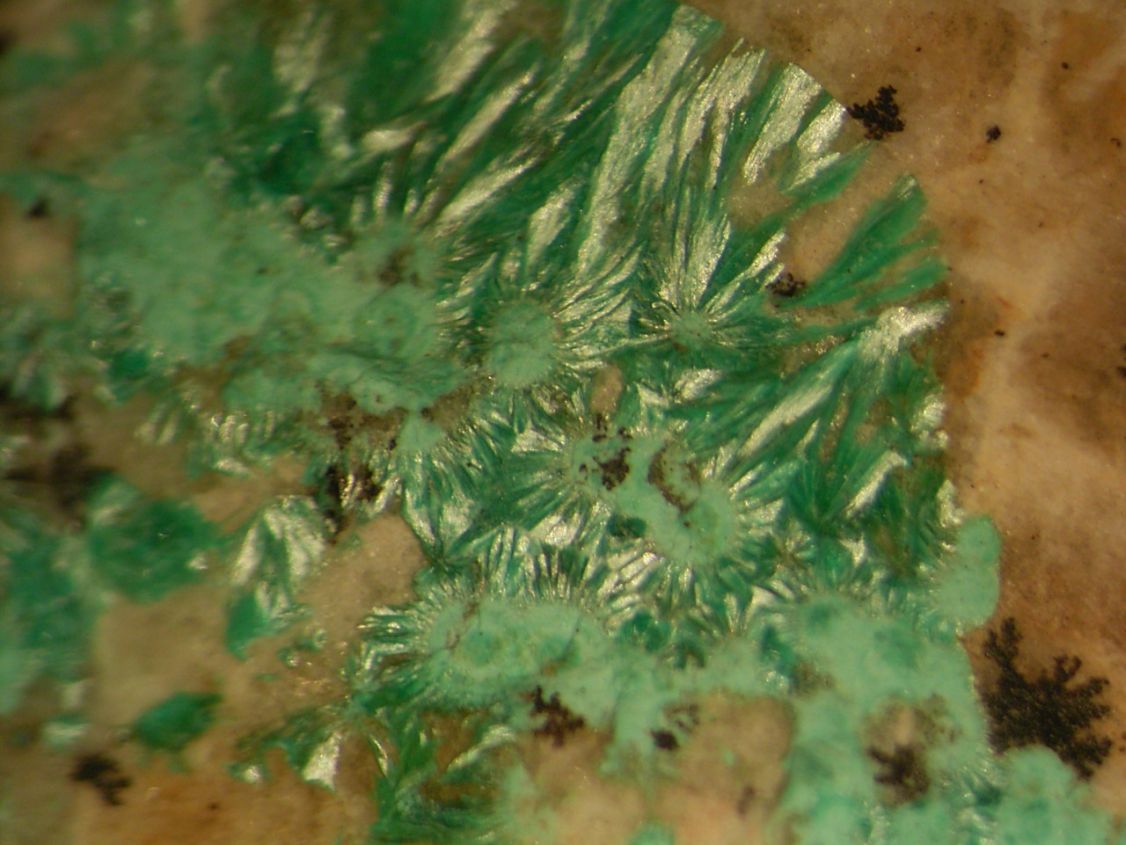 Theisite Psm Tyrolite