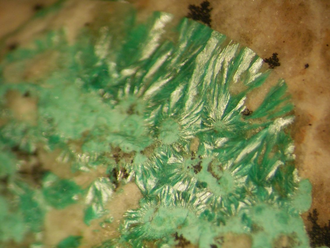 Theisite Psm Tyrolite
