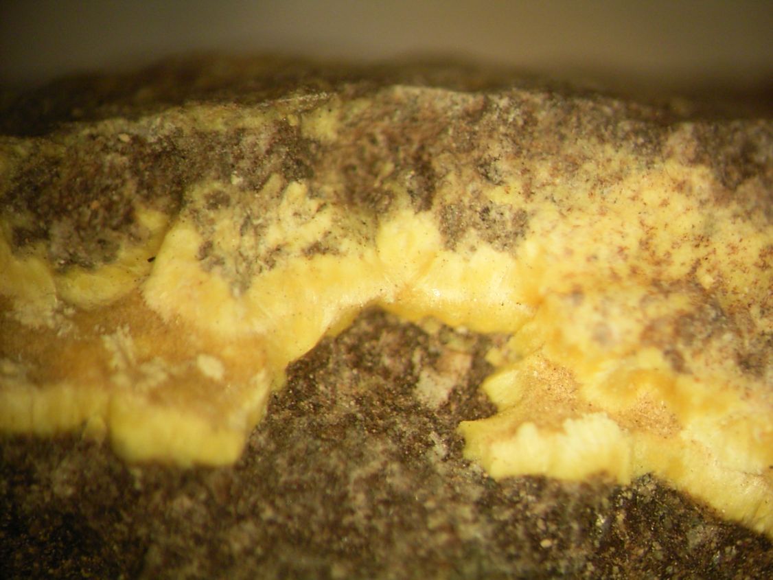 Uranophane & Uraninite