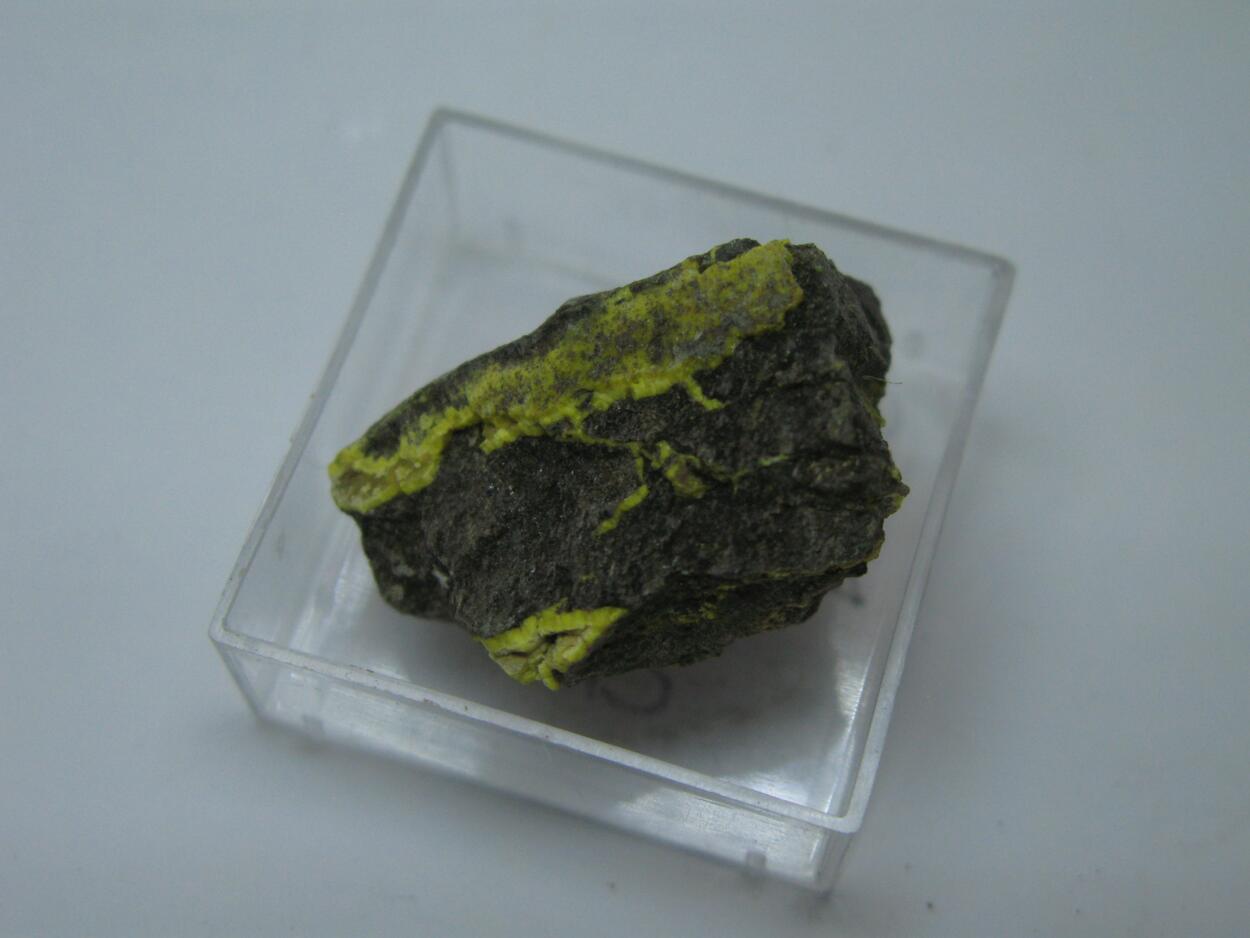 Uranophane & Uraninite