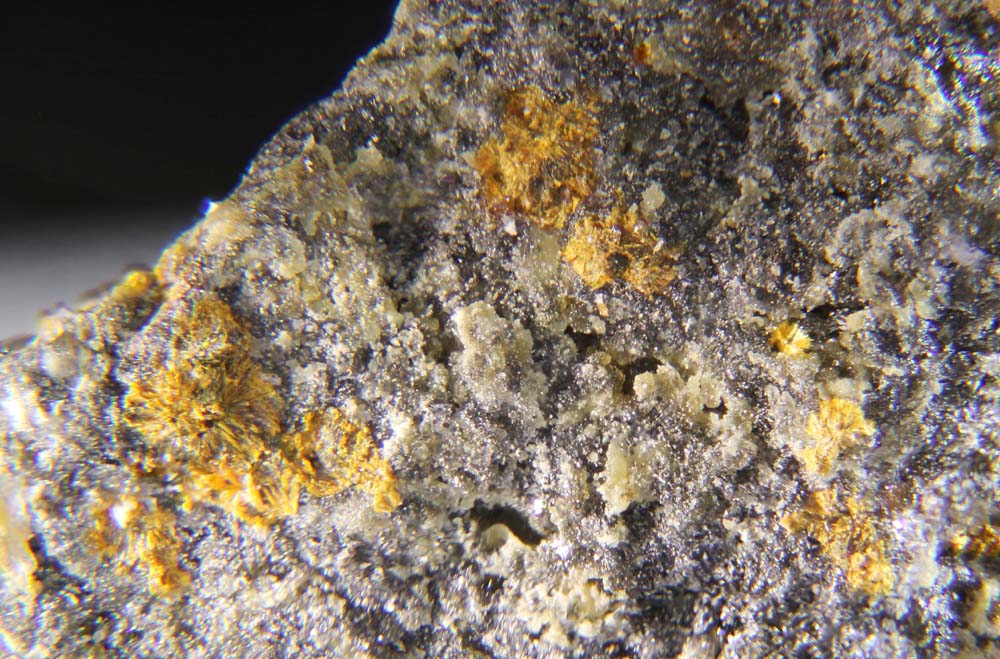Karibibite