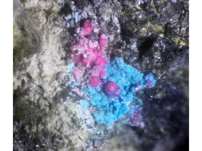 Shubnikovite & Erythrite