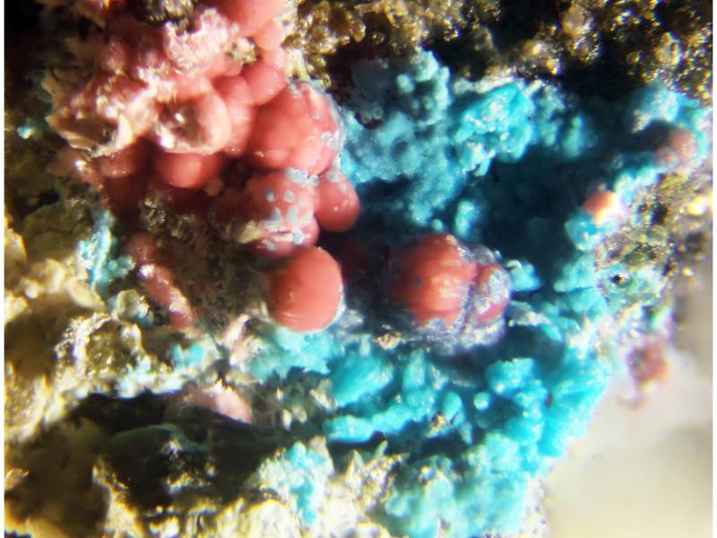 Shubnikovite & Erythrite