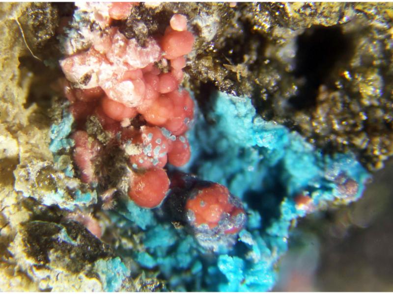 Shubnikovite & Erythrite