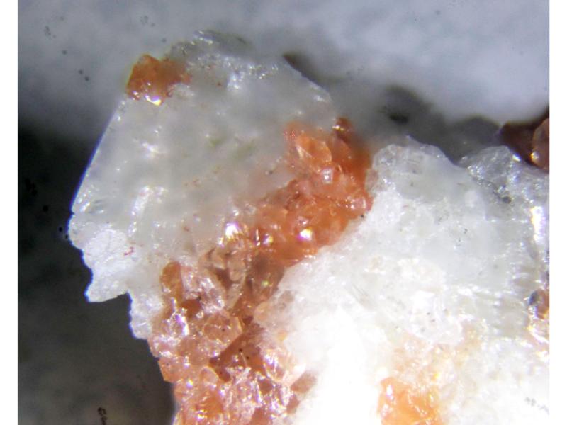 Hilgardite & Boracite