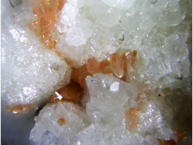 Hilgardite & Boracite