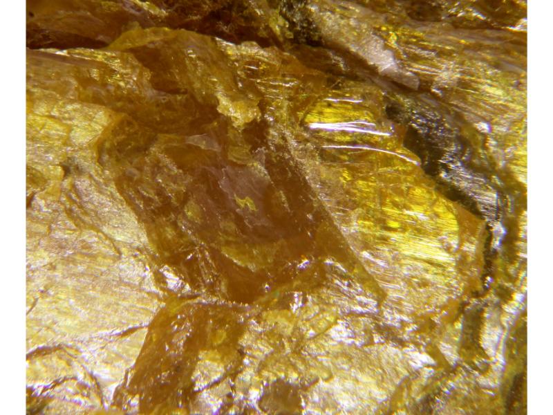 Rankamaite & Thoreaulite