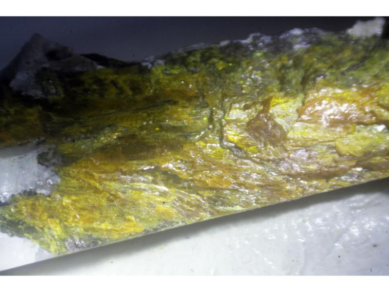 Rankamaite & Thoreaulite