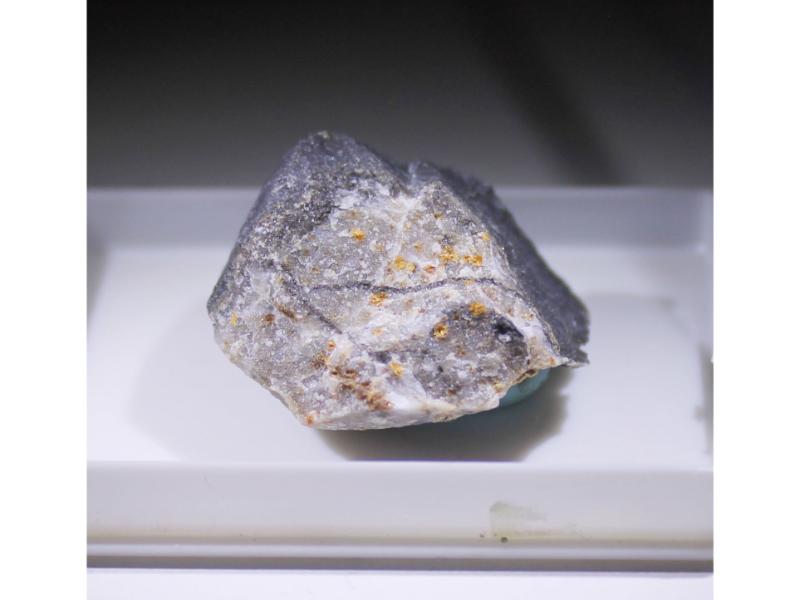 Scheuchzerite