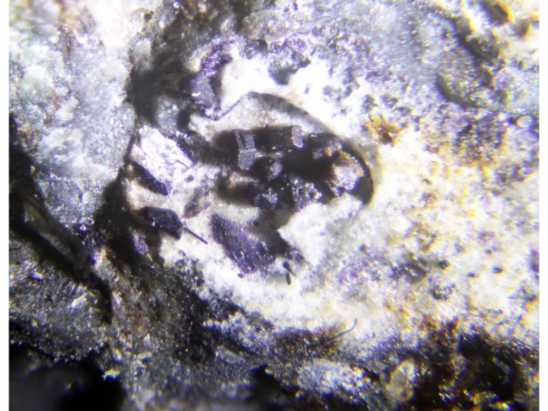 Tuhualite & Narsarsukite