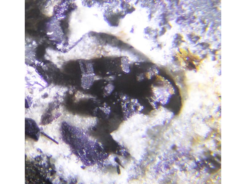 Tuhualite & Narsarsukite