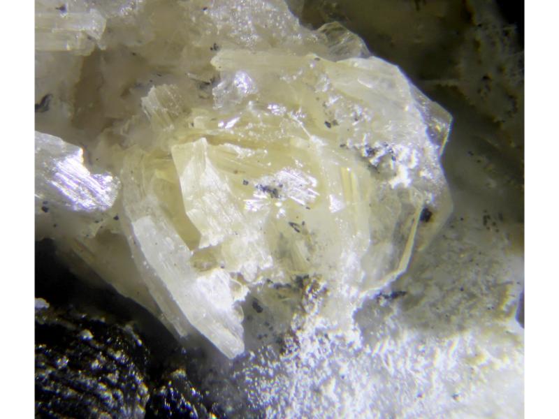 Sabinaite & Franconite