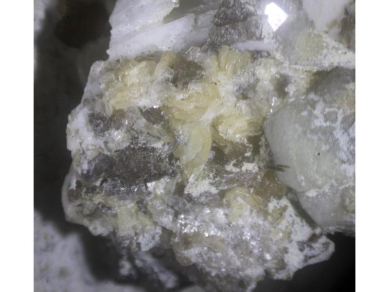 Sabinaite & Franconite