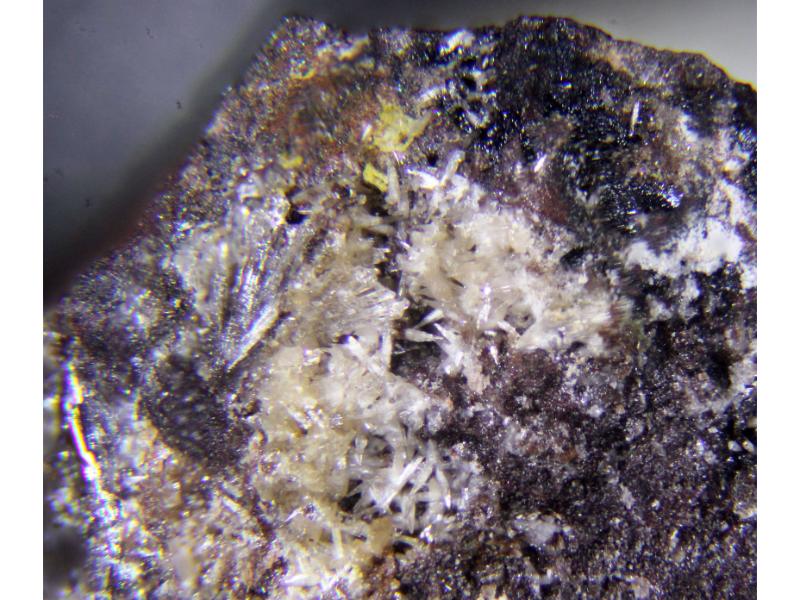 Seamanite & Shigaite & Pyrobelonite