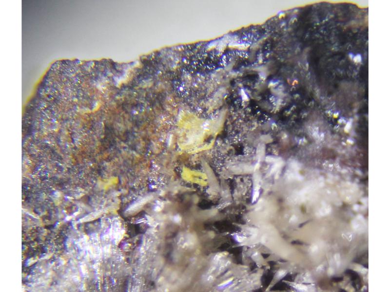 Seamanite & Shigaite & Pyrobelonite