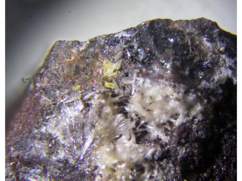 Seamanite & Shigaite & Pyrobelonite