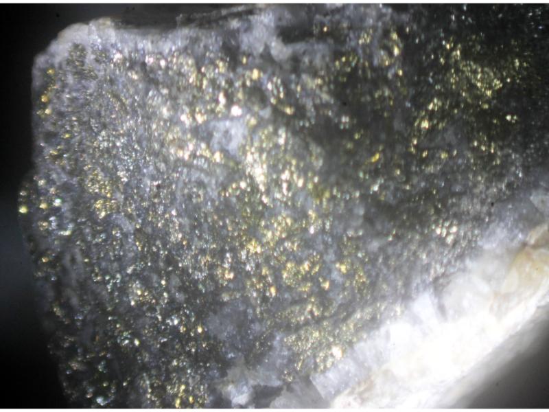 Calaverite Sylvanite & Gold