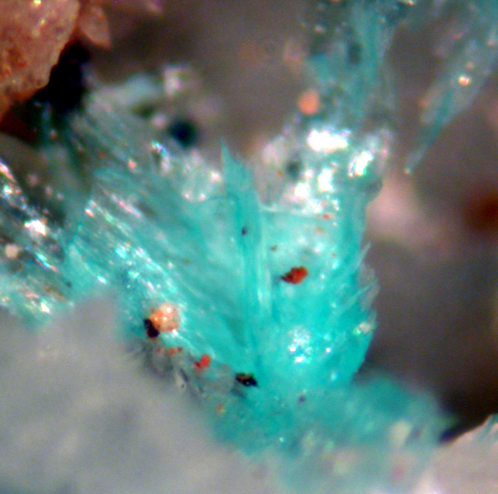 Devilline Connellite & Langite