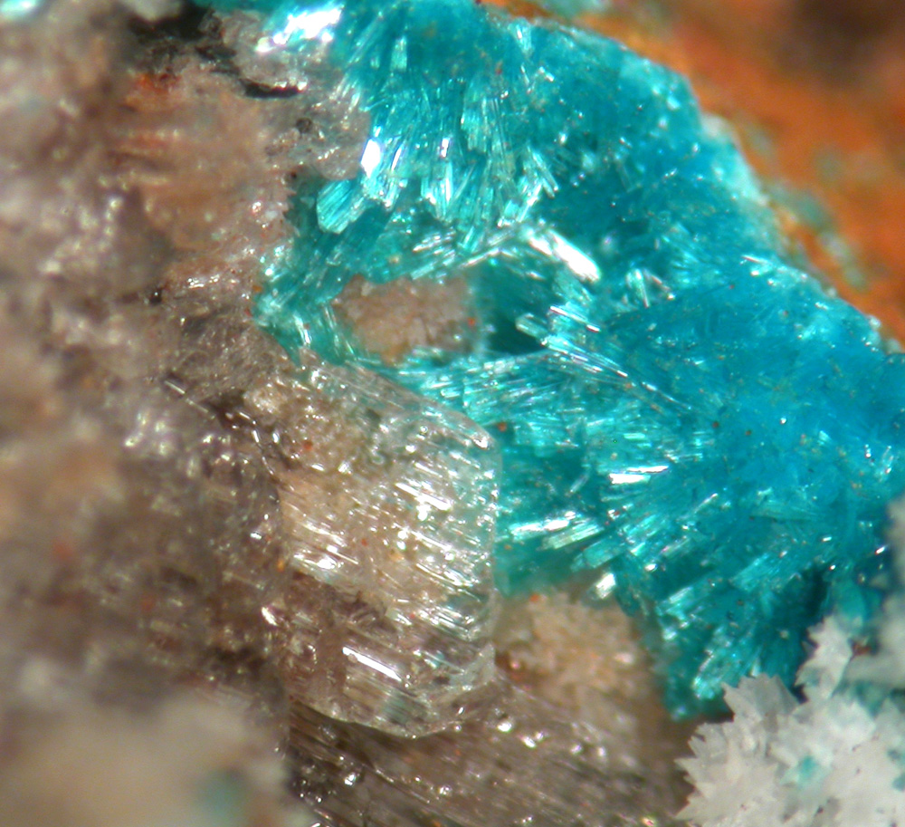 Serpierite