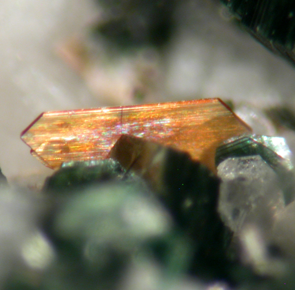 Anatase Brookite Pennine Albite & Muscovite