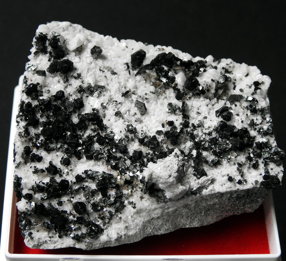 Anatase Brookite Pennine Albite & Muscovite