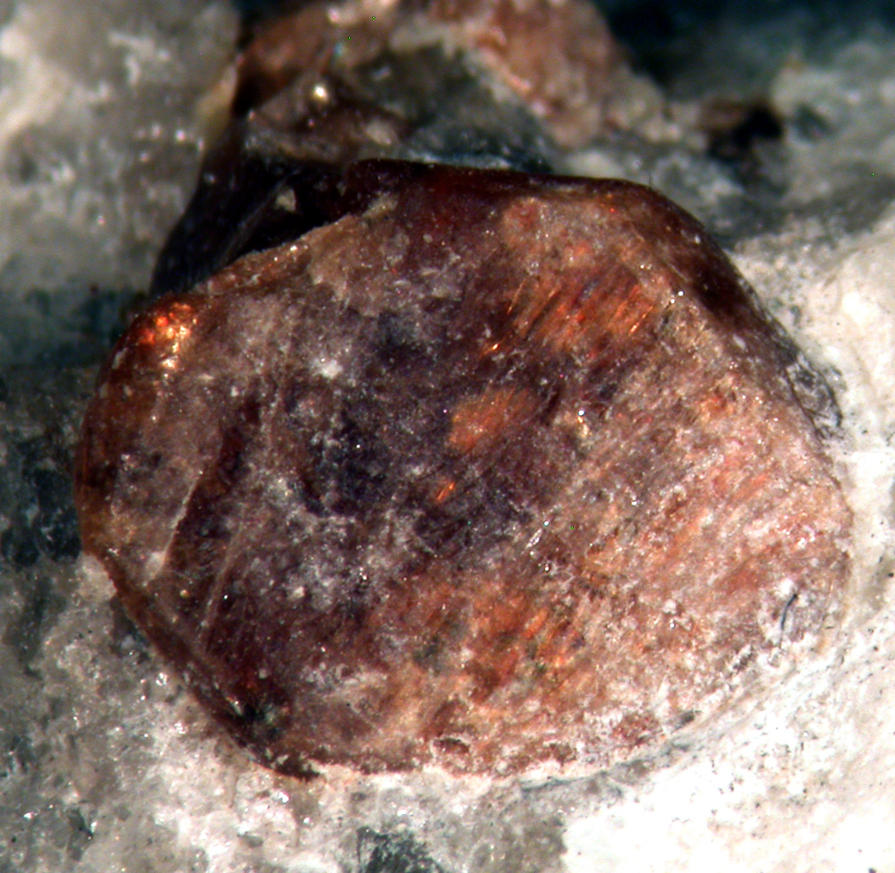 Monazite-(Ce)