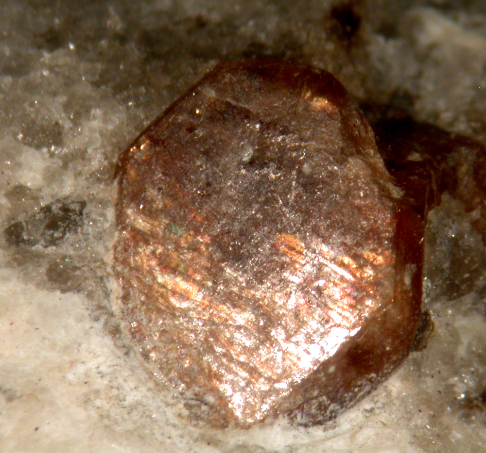 Monazite-(Ce)