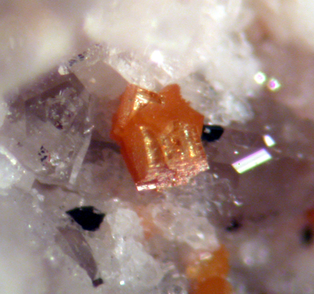 Aeschynite-(Y) & Allanite-(Ce)