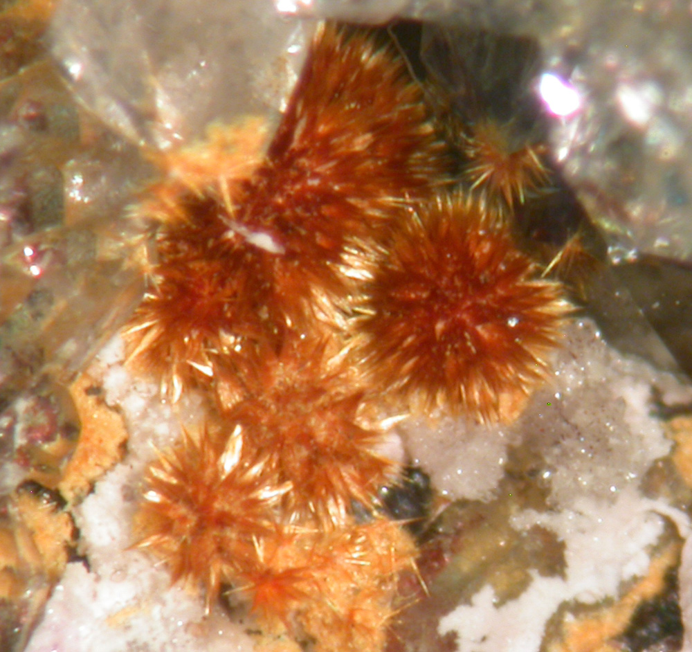 Karibibite Scorodite & Quartz