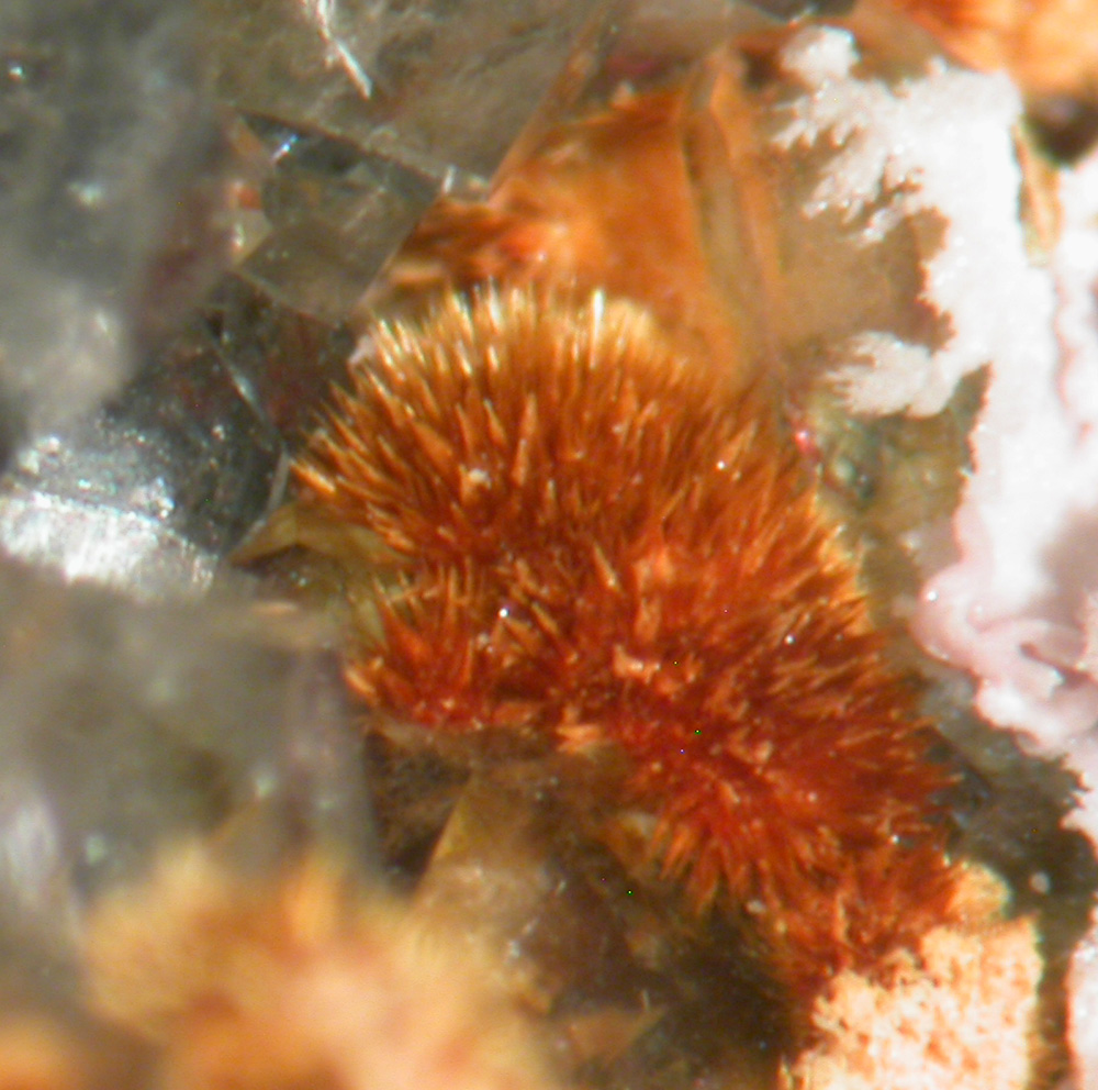 Karibibite Scorodite & Quartz