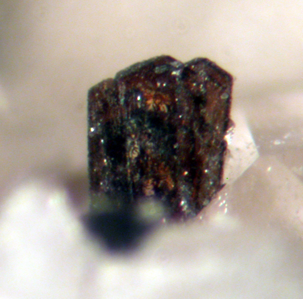 Euxenite-(Y) & Allanite-(Ce)