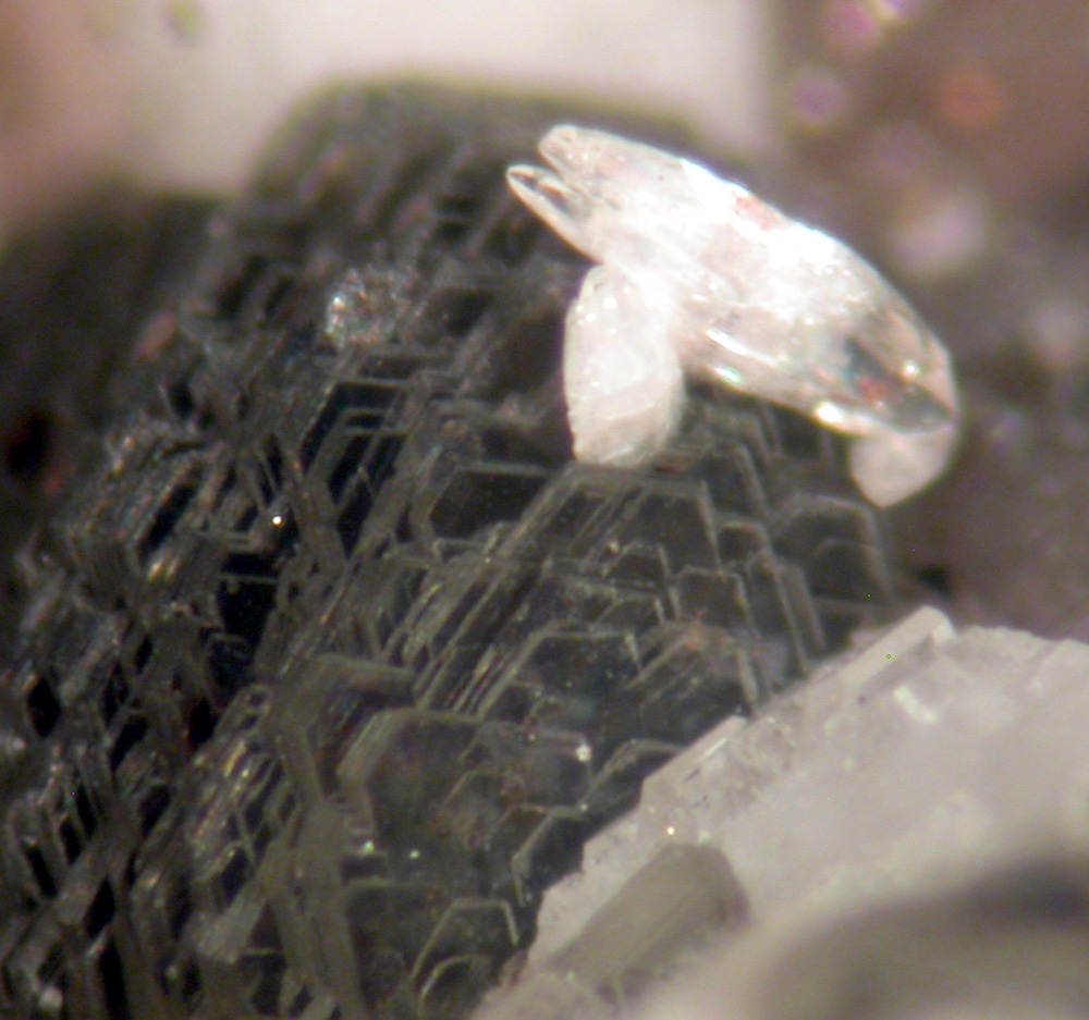 Kainosite-(Y) & Hingganite-(Y)