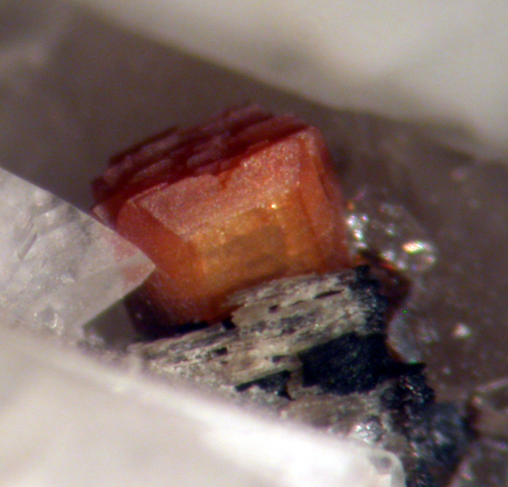 Aeschynite-(Y) & Quartz