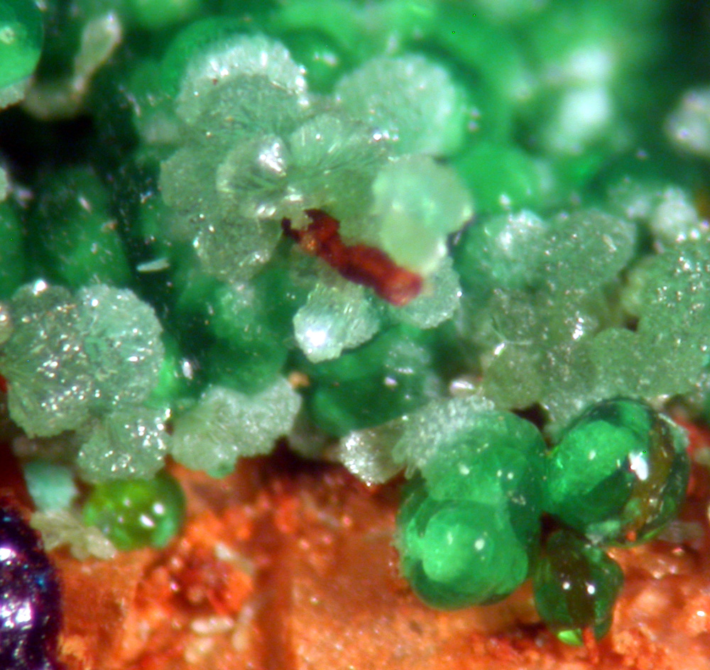 Agardite Conichalcite & Zincolivenite