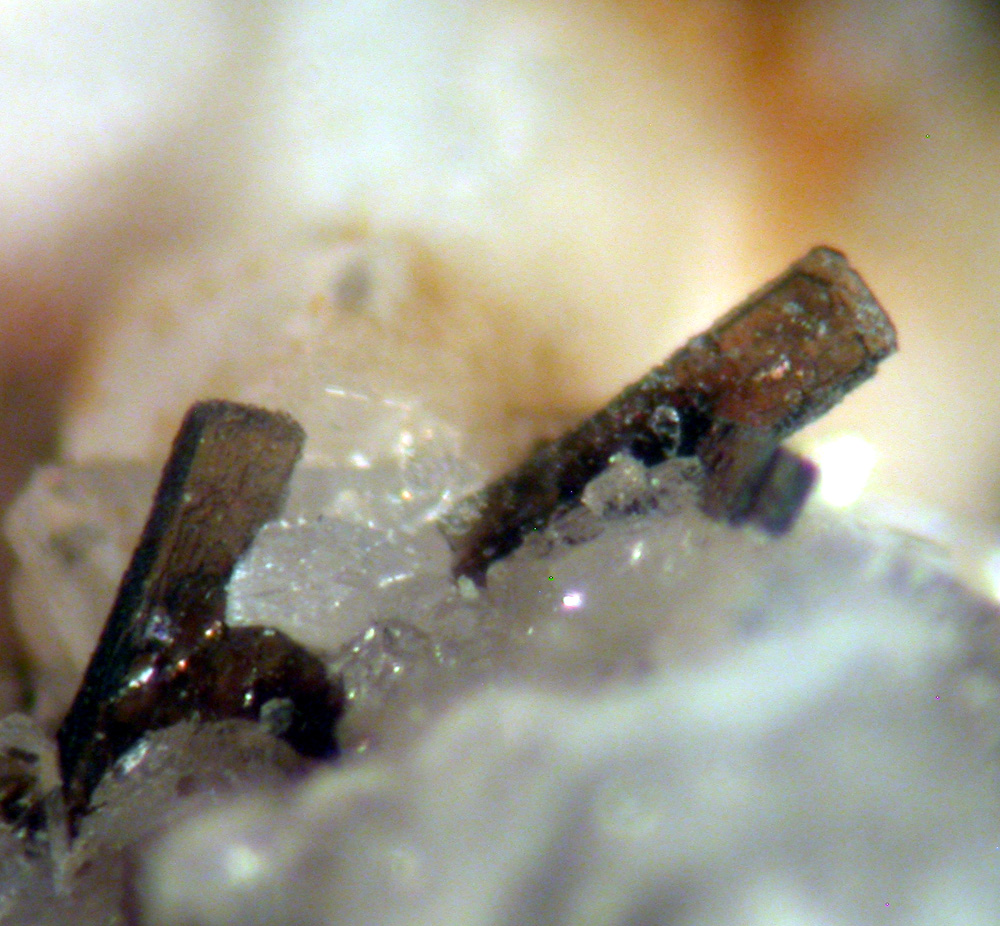 Allanite-(Ce)