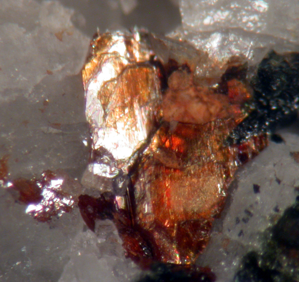 Chevkinite Group Monazite-(Ce) Astrophyllite & Ilmenite