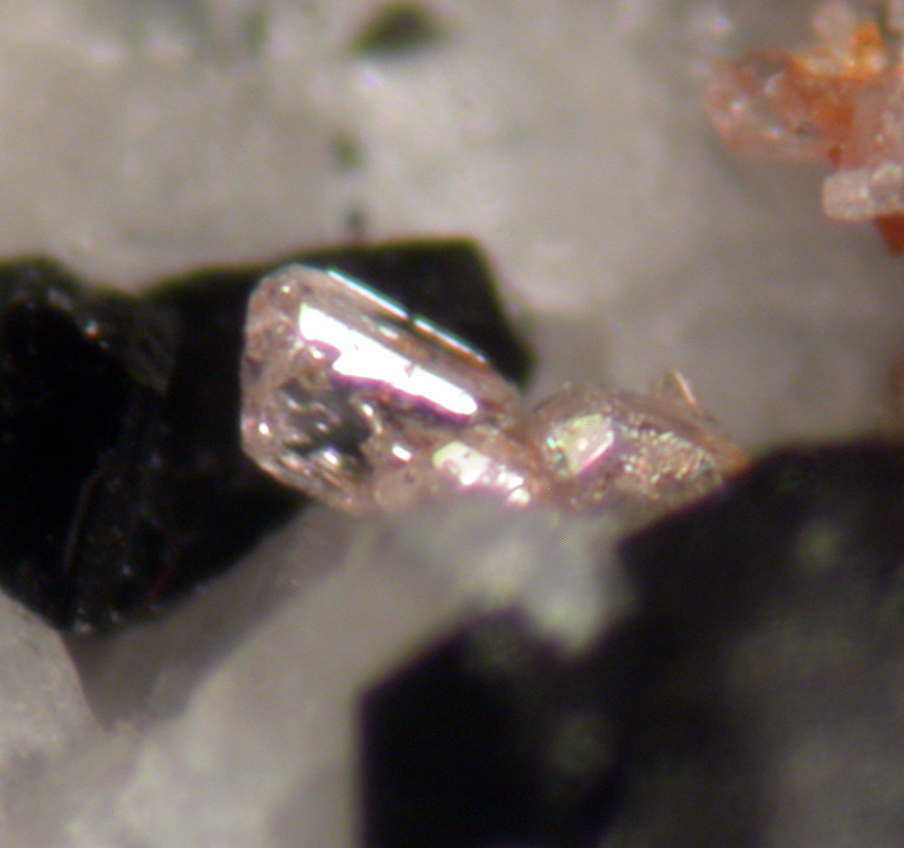 Vlasovite & Fluornatropyrochlore