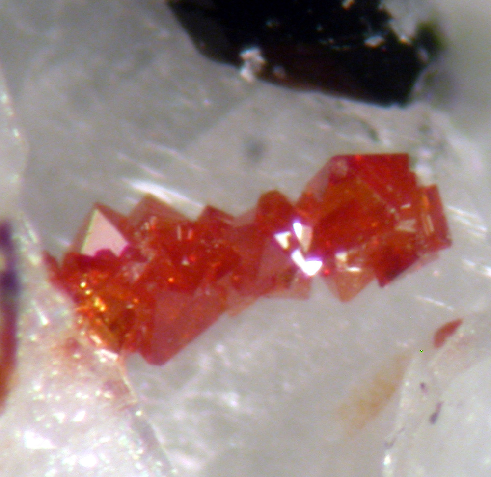 Vlasovite & Fluornatropyrochlore