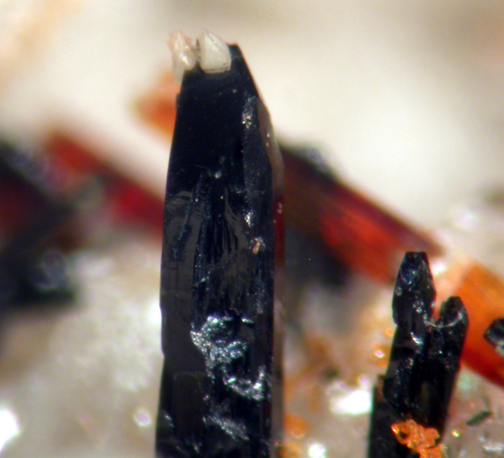 Astrophyllite Zircon Aegirine & Ilmenite