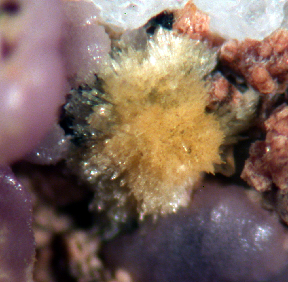 Kastningite Bermanite Strengite & Frondelite