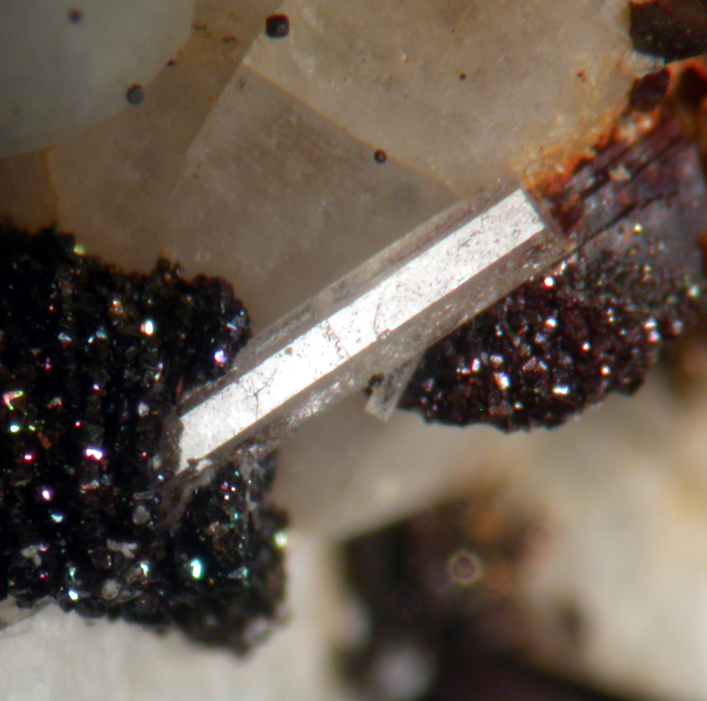 Apatite Pyrite & Siderite