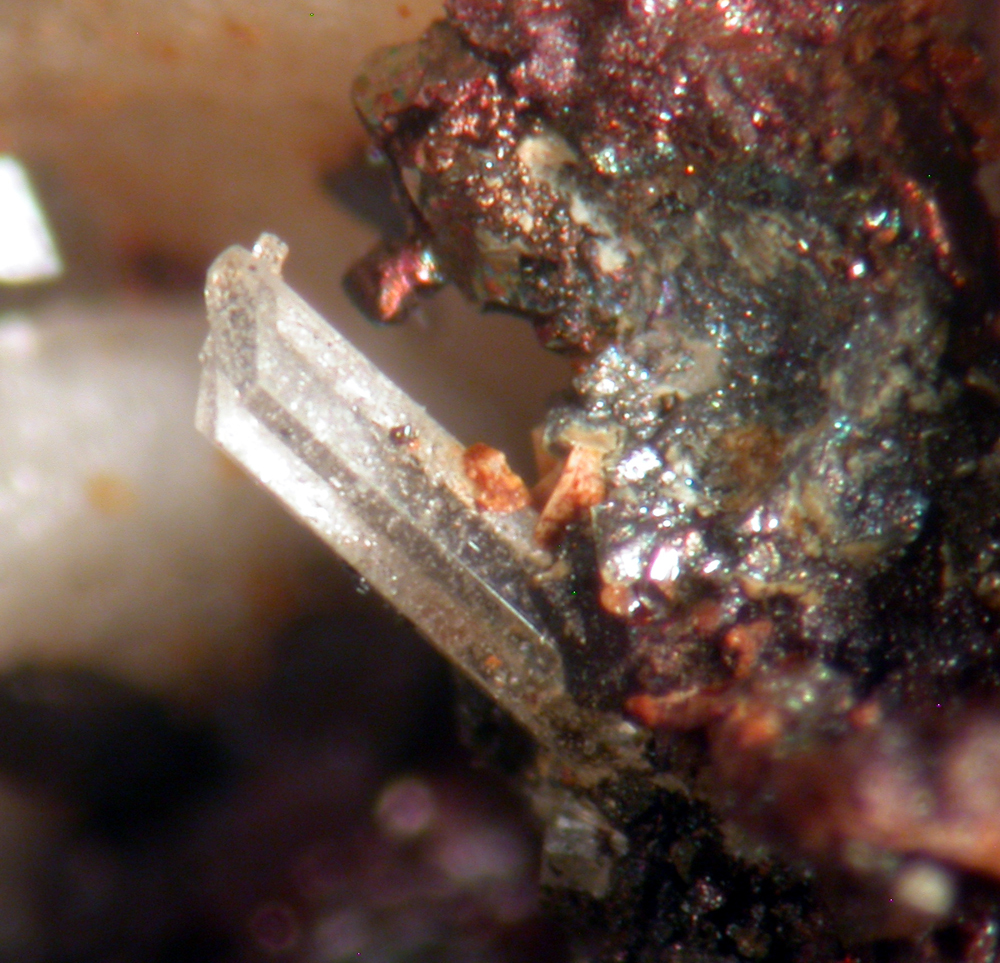 Apatite Pyrite & Siderite