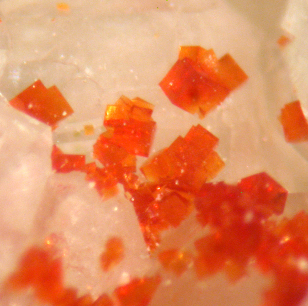 Bariopharmacosiderite & Olivenite