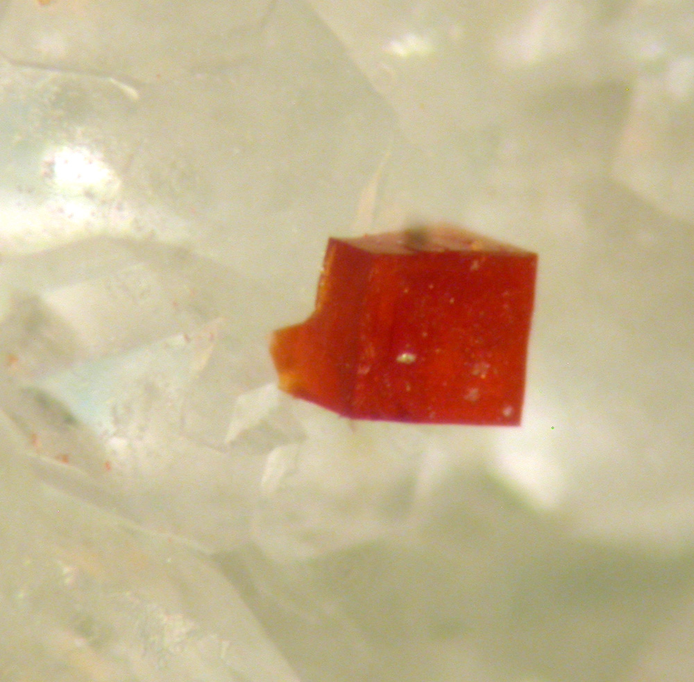 Bariopharmacosiderite & Olivenite