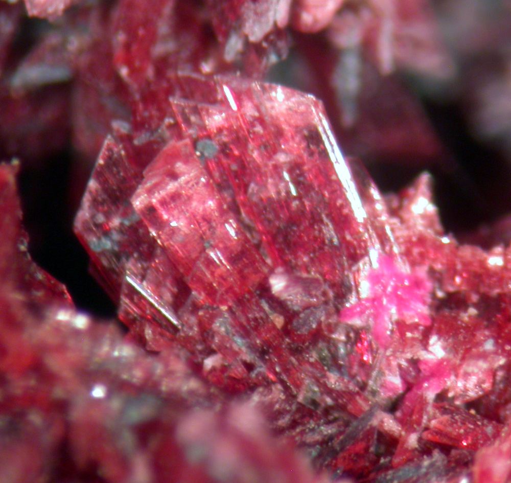 Cobaltkoritnigite & Erythrite