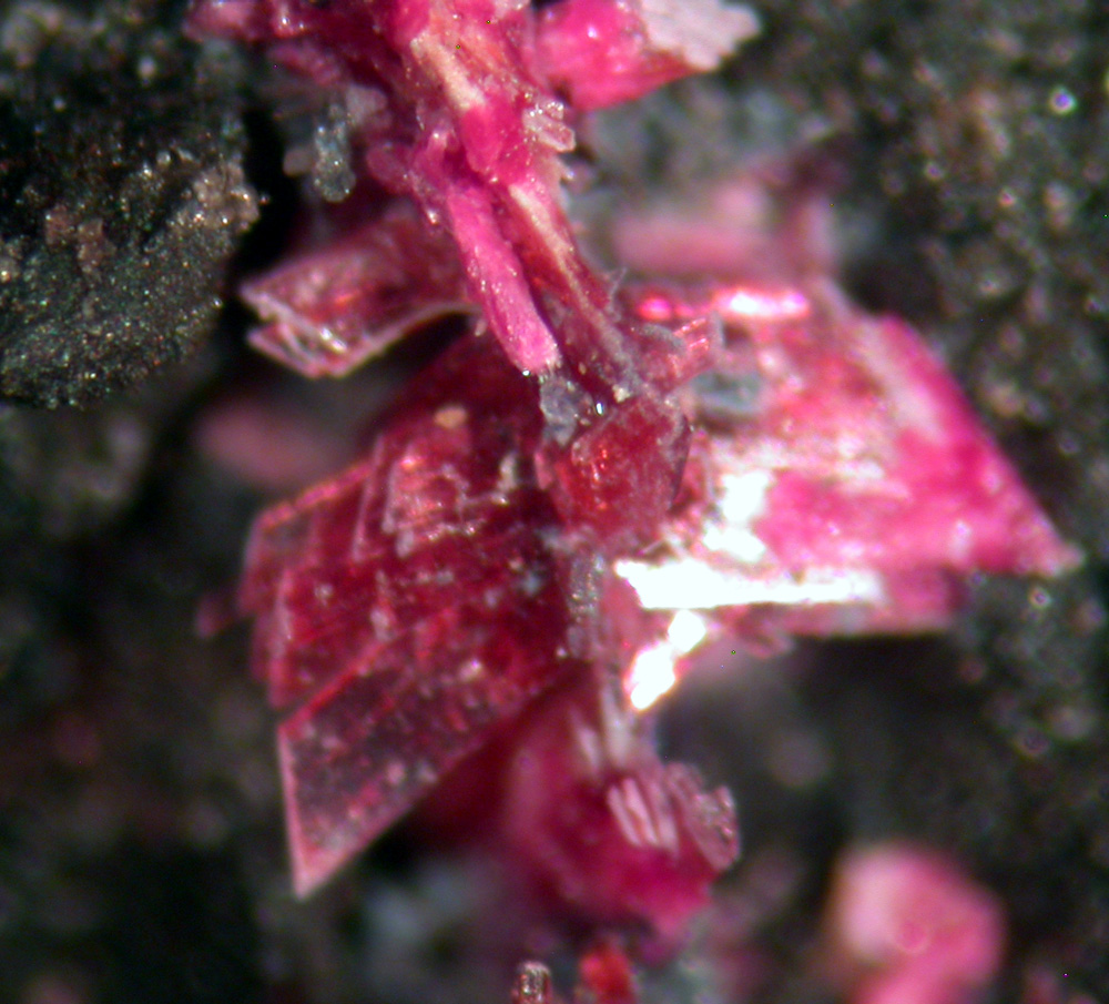 Cobaltkoritnigite & Erythrite